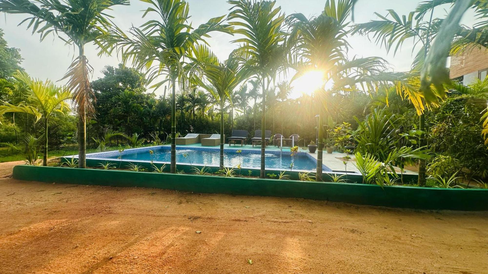 Dew Ashi Homestay Sigiriya Buitenkant foto