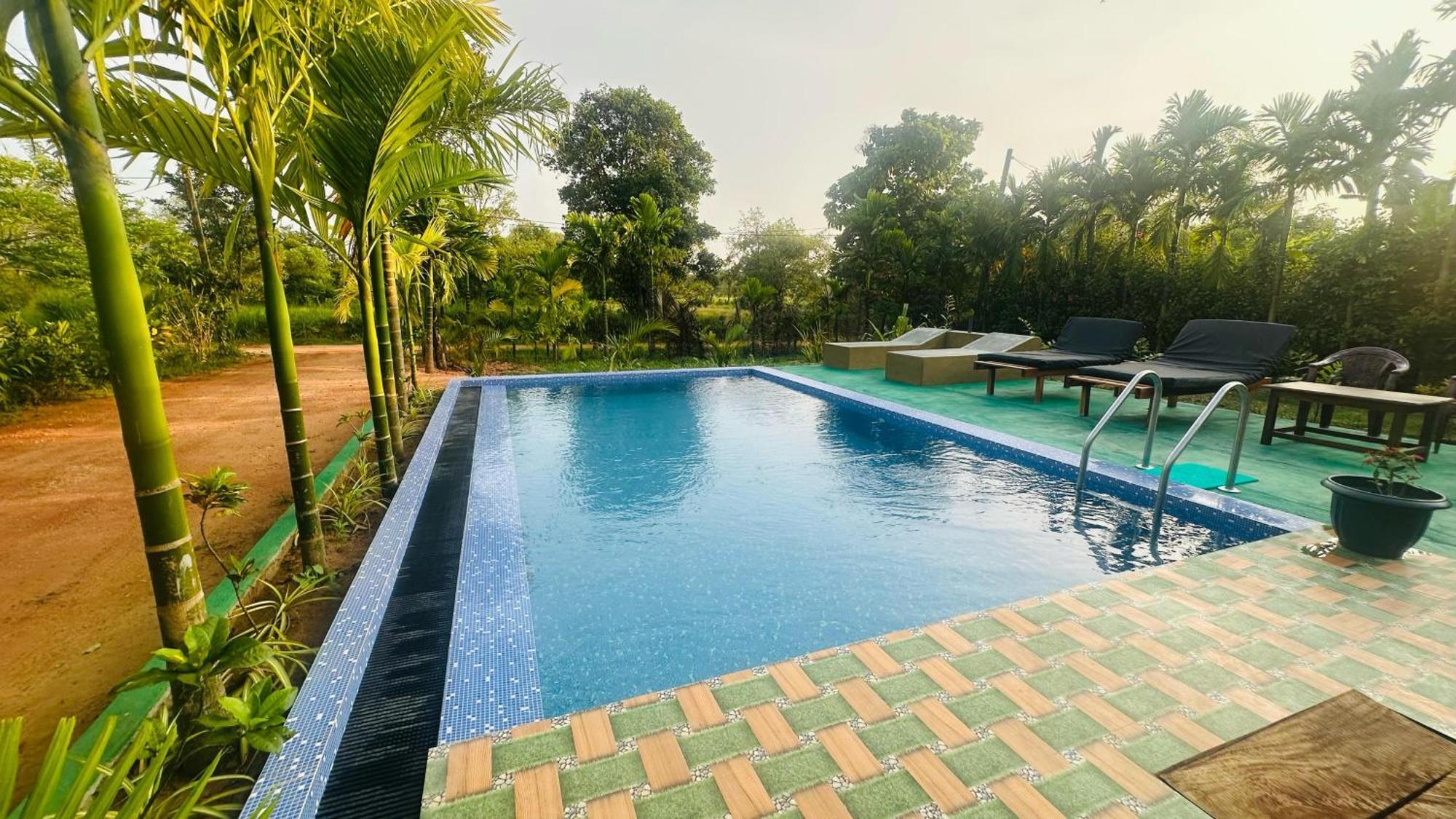 Dew Ashi Homestay Sigiriya Buitenkant foto