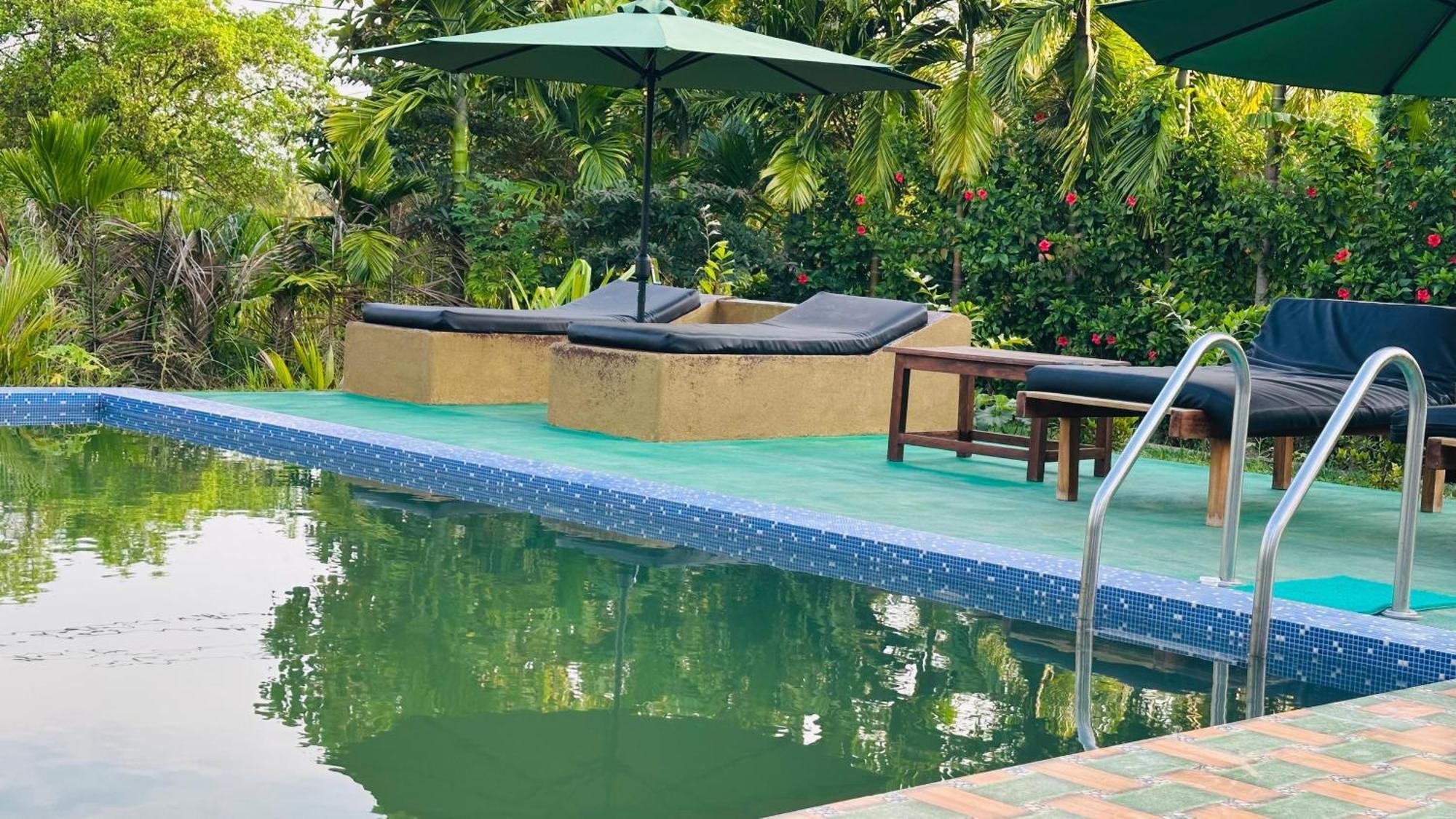 Dew Ashi Homestay Sigiriya Buitenkant foto